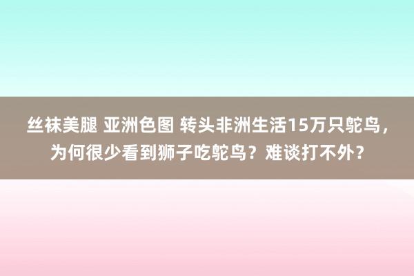 丝袜美腿 亚洲色图 转头非洲生活15万只鸵鸟，为何很少看到狮子吃鸵鸟？难谈打不外？