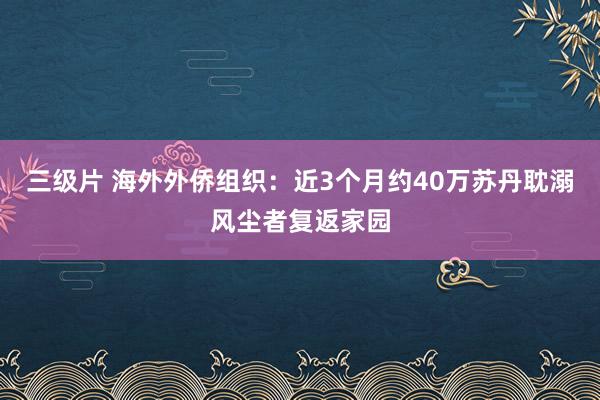 三级片 海外外侨组织：近3个月约40万苏丹耽溺风尘者复返家园