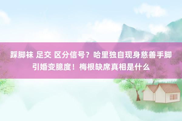 踩脚袜 足交 区分信号？哈里独自现身慈善手脚引婚变臆度！梅根缺席真相是什么