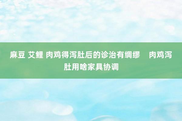麻豆 艾鲤 肉鸡得泻肚后的诊治有绸缪    肉鸡泻肚用啥家具协调