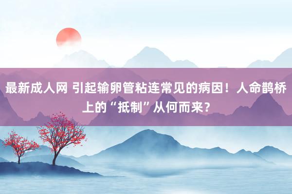 最新成人网 引起输卵管粘连常见的病因！人命鹊桥上的“抵制”从何而来？