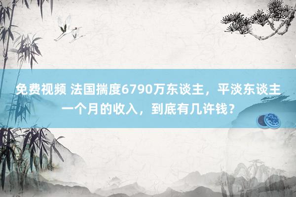 免费视频 法国揣度6790万东谈主，平淡东谈主一个月的收入，到底有几许钱？