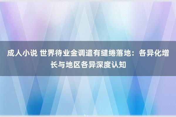 成人小说 世界待业金调遣有缱绻落地：各异化增长与地区各异深度认知