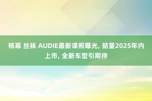 杨幂 丝袜 AUDIE最新谍照曝光， 掂量2025年内上市， 全新车型引期待