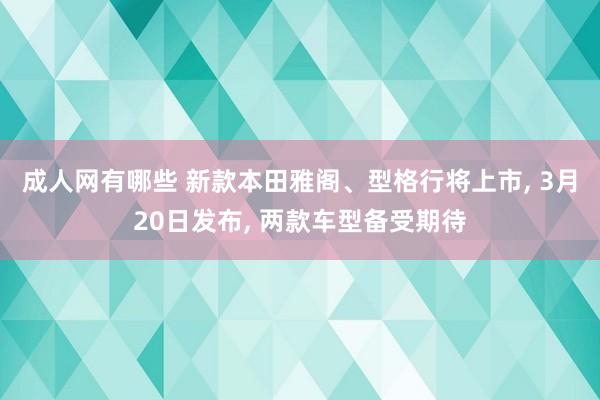 成人网有哪些 新款本田雅阁、型格行将上市， 3月20日发布， 两款车型备受期待