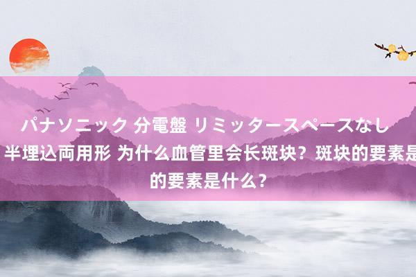 パナソニック 分電盤 リミッタースペースなし 露出・半埋込両用形 为什么血管里会长斑块？斑块的要素是什么？